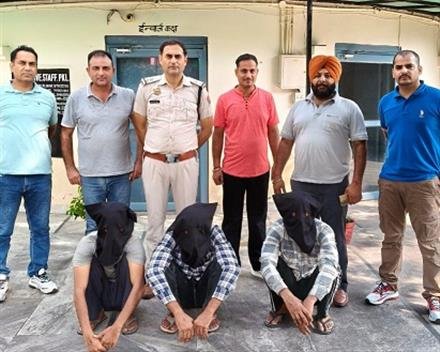 पंचकूला पुलिस ने पिंजौर मर्डर मिस्ट्री सुलझाई, तीन आरोपी गिरफ्तार