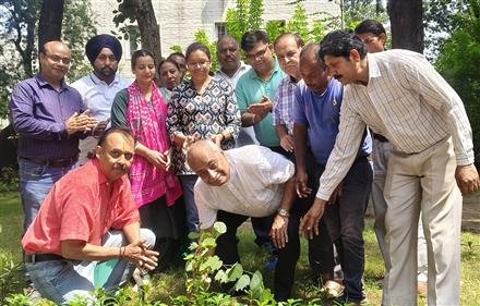 प्रधानमंत्री नरेंद्र मोदी की वर्षगाँठ पर एएमएम-37 में पौधारोपण व आयुर्वेदिक और होम्योपैथिक शिविर आयोजित