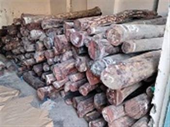 DELHI POLICE ARRESTED TWO  INTERSTATE SMUGGLERS .  10 TON RED SANDALWOOD  WORTH RS. 6 CRORES SEIZED