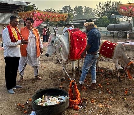 गोपाष्टमी पर भारी संख्या में श्रद्धालुओं ने गौ व बैलों का श्रद्धापूर्वक किया पूजन