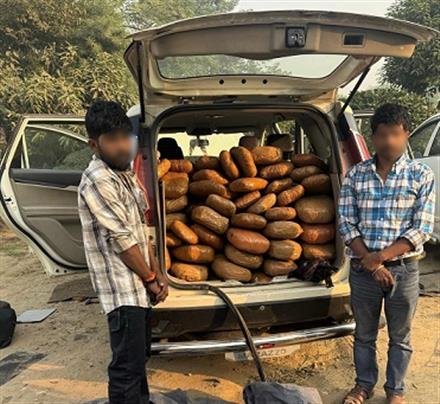 DRI LUDHIANA UNIT RECOVERED 74 PACKETS CONTAINING 103 KG GANJA  WORTH  RS. 31 LAKH FROM MODIFY VEHICLE