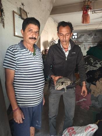 ENDANGERED TURTLE RESCUED AND SENT TO ZOO