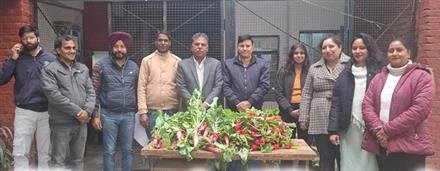 ऑर्गेनिक उगाए, ऑर्गेनिक खाओ कार्यशाला का आयोजन