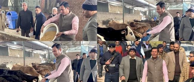 UT  CHANDIGARH  CHIEF SECRETARY TOUGH ON COWS DEATH, VISITS GAU SHALLAS
