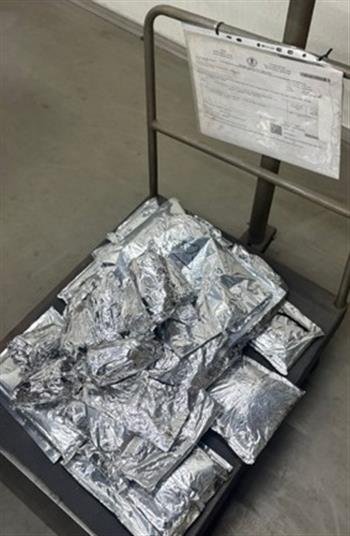 LUDHIANA DRI RECOVERED CONTRABAND 12KG OPIUM   DESPATCHED THROUGH COURIER TO USA, CANADA