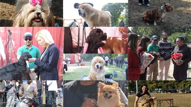 MEGA DOG SHOW ORGANISED BY ROYAL KENNEL CLUB CONCLUDES IN PANCHKULA