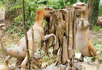 CHHATBIR ZOO ATTRACTS  80,508 VISITORS IN TWO MONTHS